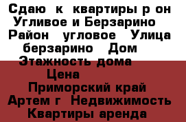 Сдаю 2к. квартиры р-он Угливое и Берзарино › Район ­ угловое › Улица ­ берзарино › Дом ­ 0 › Этажность дома ­ 5 › Цена ­ 13 000 - Приморский край, Артем г. Недвижимость » Квартиры аренда   